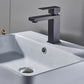 Black Single Hole Faucet Single-handle Bathroom Faucet with Drain Assembly
